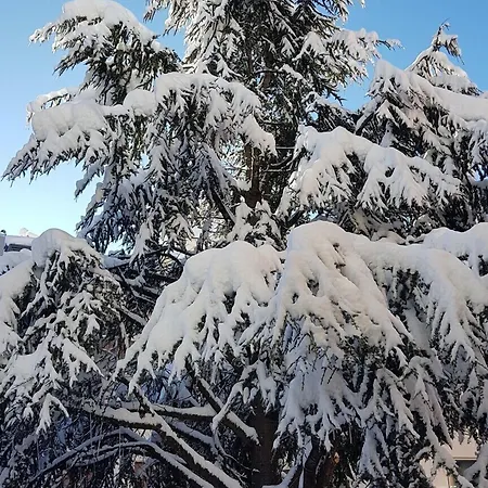 Ξενοδοχείο Ai Dogi Pieve di Cadore