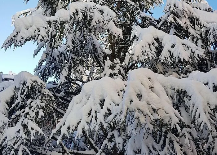 Szálloda Ai Dogi Pieve di Cadore